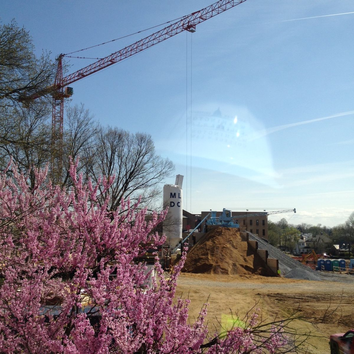 Spring at the Tenley Campus