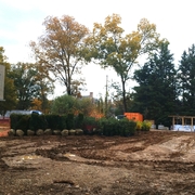 New trees are about to be planted at Tenley